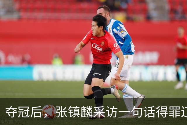 夺冠后，张镇麟采访一句话得罪辽宁，辽蜜：有本事到四川证明价值